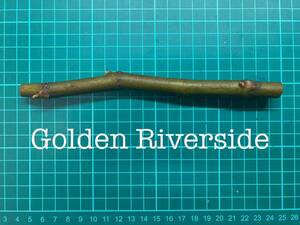  fig Golden Riverside... 1 pcs (. tree *. tree )@1860