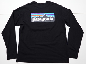 patagonia