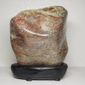 【深浦産】◆1.9kg◆ 花紋石 錦石 菊紋石 小菊石 菊花石 原石 鑑賞石 自然石 天然石 紋石 水石 鉱物 置物