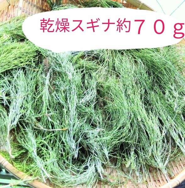 乾燥スギナ約７０ｇ