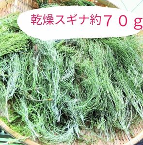 乾燥スギナ約７０ｇ