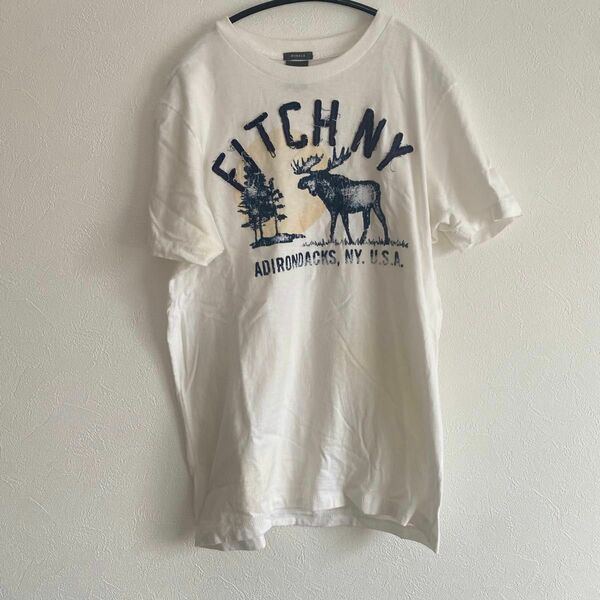 Abercrombie&Fitch Tシャツ　Lサイズ