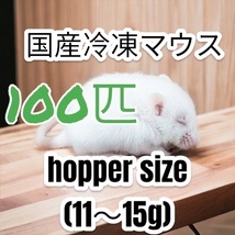 国産冷凍マウス　ホッパー100匹　激安　SALE_画像1