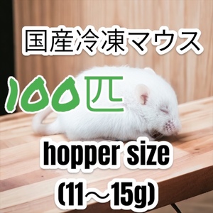 国産冷凍マウス　ホッパー100匹　激安　SALE