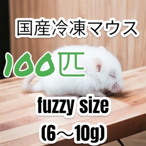 国産冷凍マウス　ファジー100匹　激安　SALE