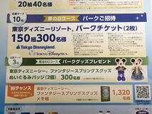 懸賞 東京ディズニーシー 1デーパスポート ファンタジースプリングス マジック2枚 夢と魔法のキャンペーン ディズニー シー パークチケット_画像4