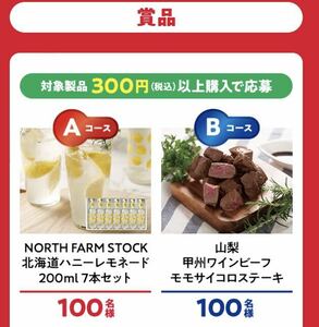 レシート懸賞 NORTH FARM STOCK 北海道ハニーレモネード 山梨 甲州ワインビーフ モモサイコロステーキ 選べる電子マネーギフト PayPay など