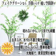 フェイクグリーン 観葉植物 光触媒 テーブルグリーン 鉢植え 人工植物 インテリア 人工観葉植物 卓上飾り 鉢付き #60351_画像3