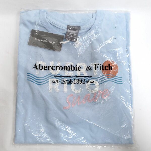 未使用品 タグ付き アバクロ アバクロンビー&フィッチ Tシャツ メンズ L Abercrombie & Fitch 