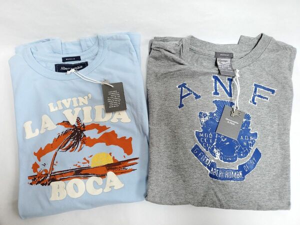 2枚セット 未使用品 タグ付き アバクロ アバクロンビー&フィッチ Tシャツ メンズ L Abercrombie & Fitch 