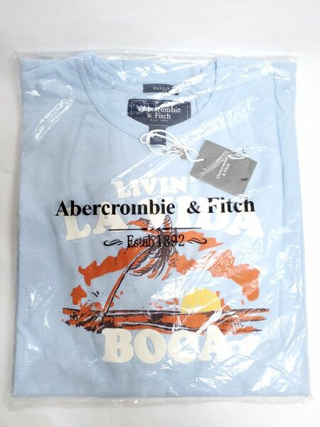 未使用品 タグ付き アバクロ アバクロンビー&フィッチ Tシャツ メンズ L Abercrombie&Fitch