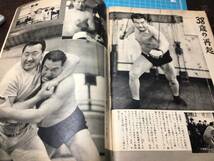 週刊明星　昭和35年 1960/214 浅丘ルリ子　マリリンモンロー　宮城まり子　力道山　高橋圭三_画像9