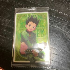 HUNTER×HUNTER ハンターハンター イタジャガ2 22 ゴン