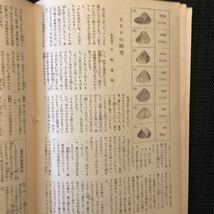 創刊号『子供科学教室』昭和22年☆木々高太郎田河水泡マッカーサー脇田和三芳悌吉大佛次郎_画像7