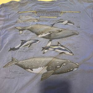 L.L.Bean 洋哺乳類 イルカ クジラ バックプリントTシャツ サイズM