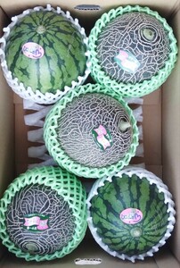 .. eminent *. after green melon 3 sphere +..... small sphere watermelon 2 sphere. set [ postage ..]1 sphere 1kg weak degree middle small sphere 