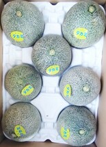 訳あり【送料こみ】人気の“タカミ(貴味)メロン”5kg箱○秀7玉入～正味は4.3程度。1玉約600gの小玉_画像1