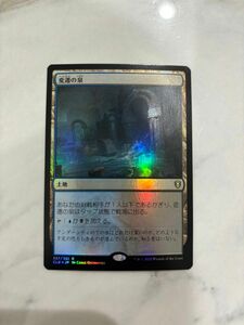 MTG 変遷の泉 Foil 通常版 日本語版