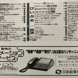 ザテレビジョン 石田ひかり かとうれいこ 水着 浅野ゆう子 柴田恭兵の画像6