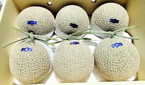 ☆高知産☆９，１Kg☆　マスクメロン　６玉入り☆　　美品