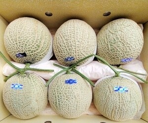 高知産　マスクメロン　６玉入り　約７，６Kg　家庭用