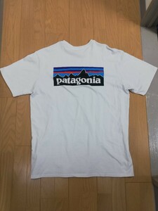 “patagoniaパタゴニア”【オフィシャルビッグロゴプリントTシャツ】◆Mサイズ