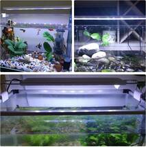 LEDGLE アクアリウムライト 14W led水槽ライト 72個LED 50～60cm対応 熱帯魚/観賞魚飼育・水草育成・水槽照_画像6