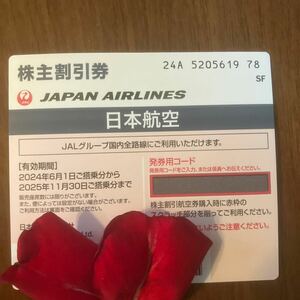JAL 日本航空 株主優待 