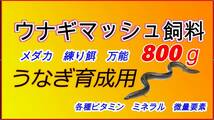 送料無料　ウナギ成魚用養鰻場　【800g】　魚粉74% メダカ　練り餌　粉エサ　稚魚　小魚　罠餌　釣り　活性　集魚力強 A うなぎ　金魚_画像1