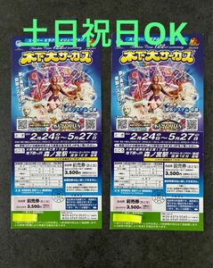 半額以下★土日もOK！木下大サーカス　前売券　 大阪　ペア　2枚