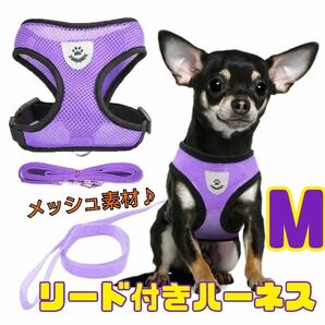 大人気！M 紫 リード付きハーネス 散歩 首輪 散歩 ペット メッシュ 小型犬