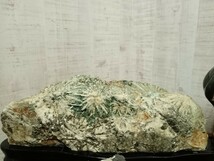 ② 必見!!　菊花石　まとめ　約9.8Kg 原石　鑑賞石　飾り石　飾物　オブジェ　コレクション　インテリア　ジャンク_画像3