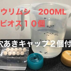 ゾウリムシ200ml エビオス　穴開きキャップ　取説付き