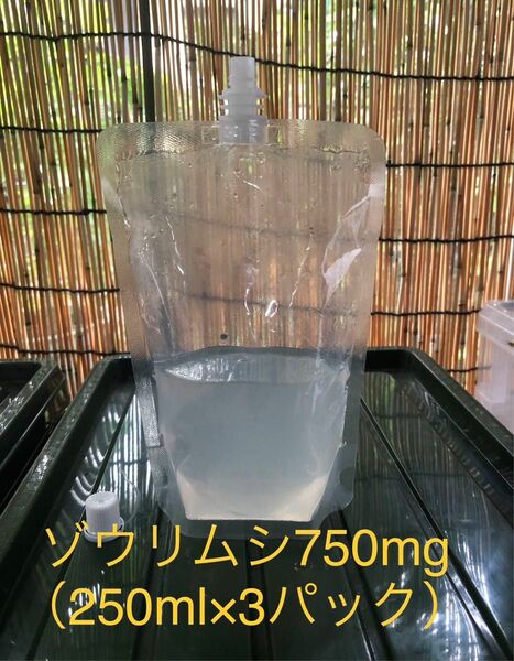 ゾウリムシ 750ml エビオス　穴あきキャップ　取説付き【gadogin】