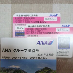 【送料無料】ANA 株主優待券　2枚セット