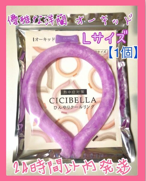 CICIBELLA シシベラ 【 オーキッド 】大人サイズ L