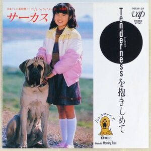 ■サーカス｜Tendernessを抱きしめて／Mornig Rain ＜EP 1984年 日本盤＞17th ドラマ「パパになりたかった犬」主題歌 作曲：木森敏之