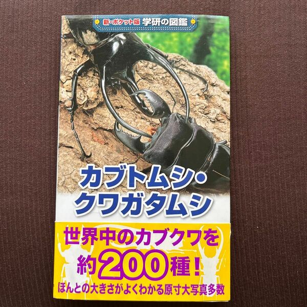 「カブトムシ・クワガタムシ」新・ポケット版　学研の図鑑　中古