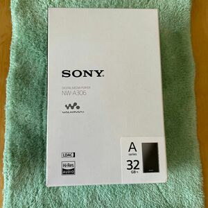 SONY ウォークマン Aシリーズ NW-306 Gray