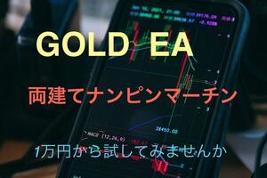 ゴールド　GOLD 両建て自動売買　EA