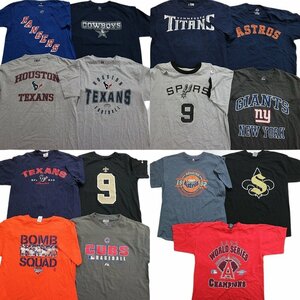 古着卸 まとめ売り プロチーム 半袖Tシャツ 15枚セット (メンズ L ) TEXANS CUBS ASTROS GIANTS MS5630 1円スタート