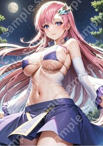 J2037 ラクスクライン 機動戦士ガンダムSEED DESTINY A4 同人 イラスト 巨乳 美少女 コスプレ Anime アニメ ポスター セクシー エロ acg