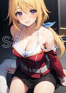 J2419 シャルロットデュノア IS インフィニットストラトス A4 同人 イラスト 美少女 美女 下着 コスプレ ポスター セクシー エロ .