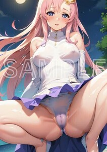 J3570 機動戦士ガンダムSEED DESTINY ラクスクライン A4 同人 イラスト 美少女 美女 下着 コスプレ ポスター セクシー エロ acg.