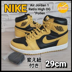 NIKE Air Jordan 1 Retro High OG “Pollen