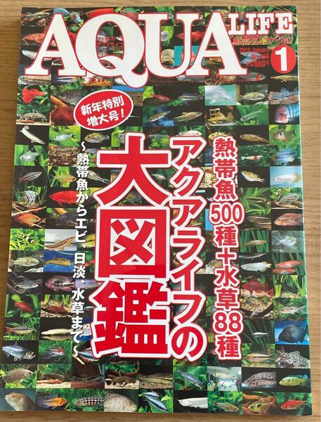 月刊アクアライフ　平成21年発売　1月号