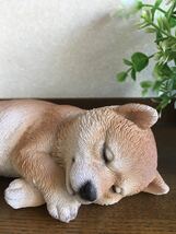 リアルでかわいい犬の置物♪　柴犬　しば犬　シバ　スヤスヤ_画像6