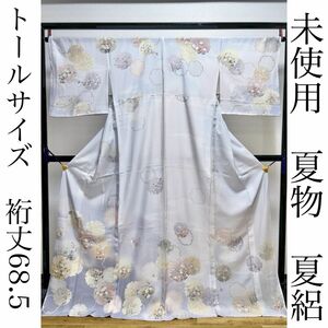 逸品　【未使用　夏物　夏絽　トールサイズ　裄丈68.5】　訪問着