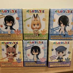 けものフレンズ 寝そべりぬいぐるみ キーチェーンマスコット ちょびるめぷち セットの画像3