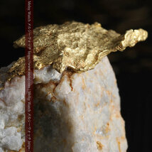 12.03gの非常に珍しいリーフ状のゴールドを冠した石英と自然金・ゴールドナゲット《商品番号G0327》_画像4